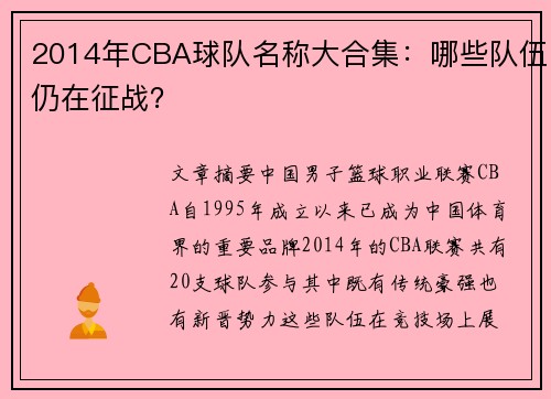 2014年CBA球队名称大合集：哪些队伍仍在征战？