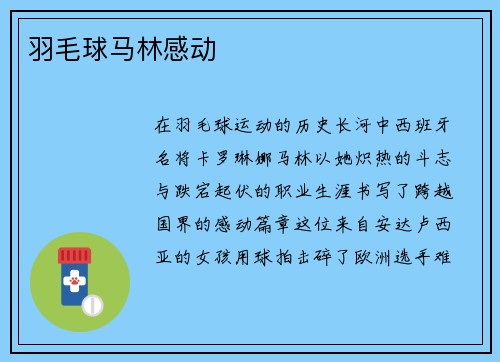 羽毛球马林感动